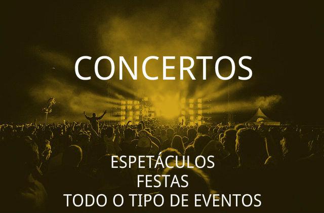 Segurança em concertos, espetáculos, festas e eventos